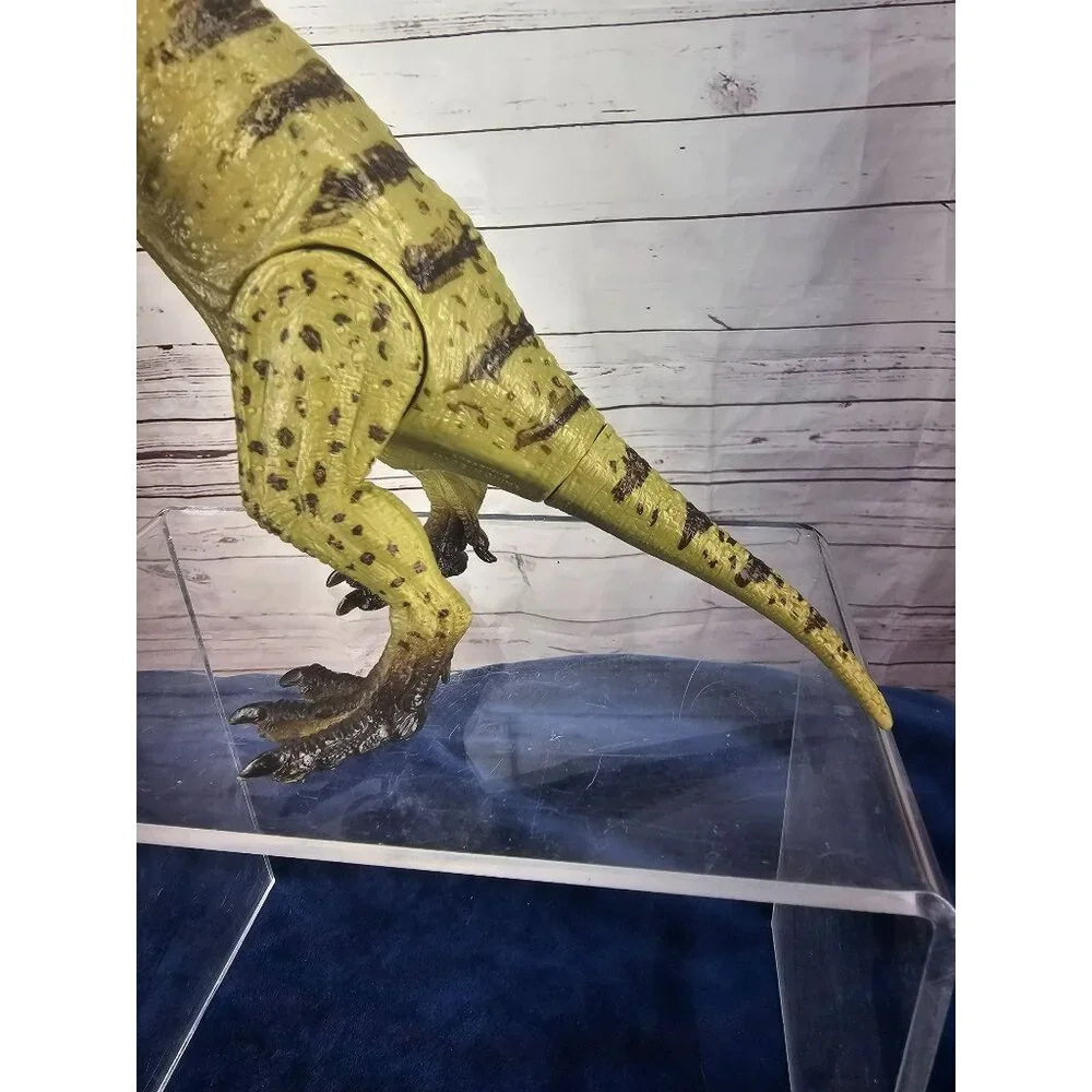 Kid Galaxy Allosaurus 6